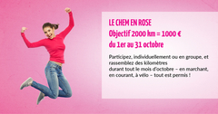 Le CHEM en rose Le CHEM en rose